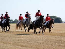 320108_10151090366633585_1973169677_n